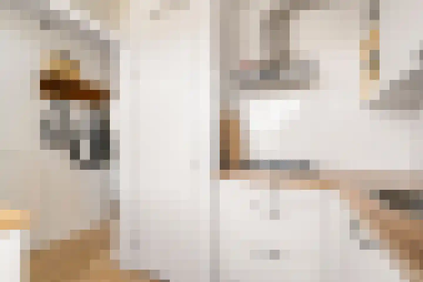 Von Zesenstraat 249 Amsterdam thumbnail 15