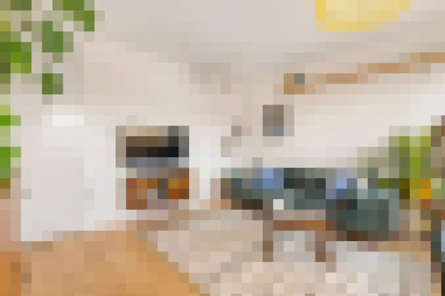 Von Zesenstraat 249 Amsterdam thumbnail 5
