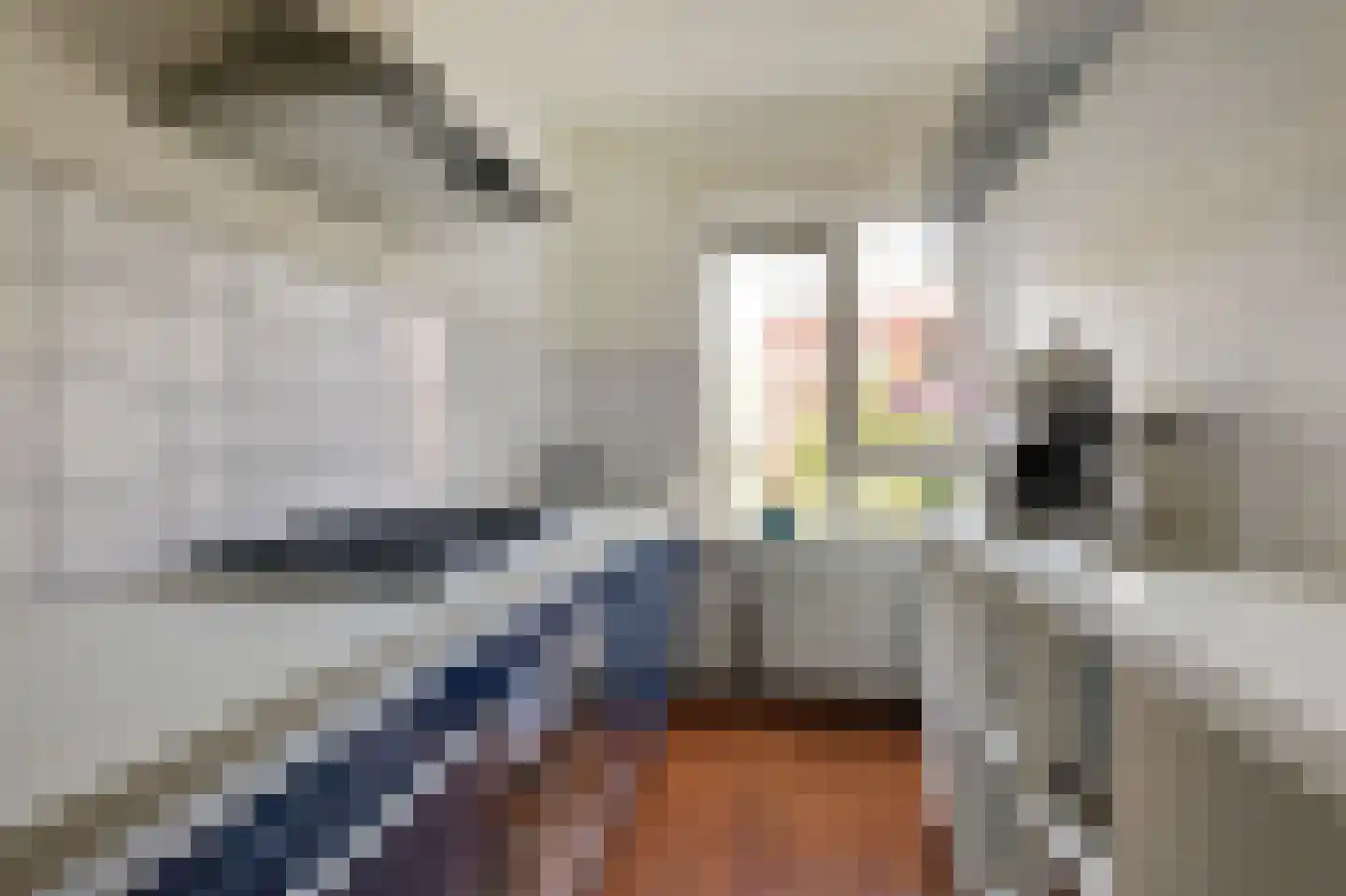 Von Zesenstraat 356 Amsterdam thumbnail 12
