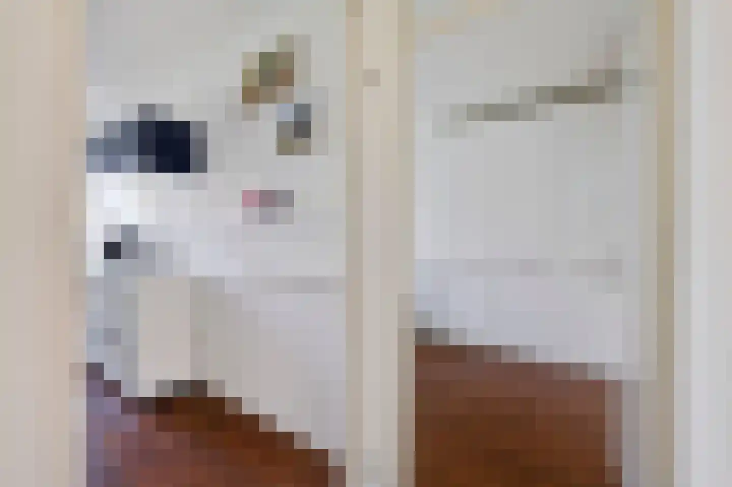 Von Zesenstraat 356 Amsterdam thumbnail 14