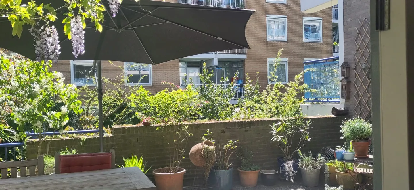 Von Zesenstraat 360 Amsterdam thumbnail 36