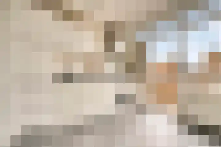 Von Zesenstraat 366 Amsterdam thumbnail 12