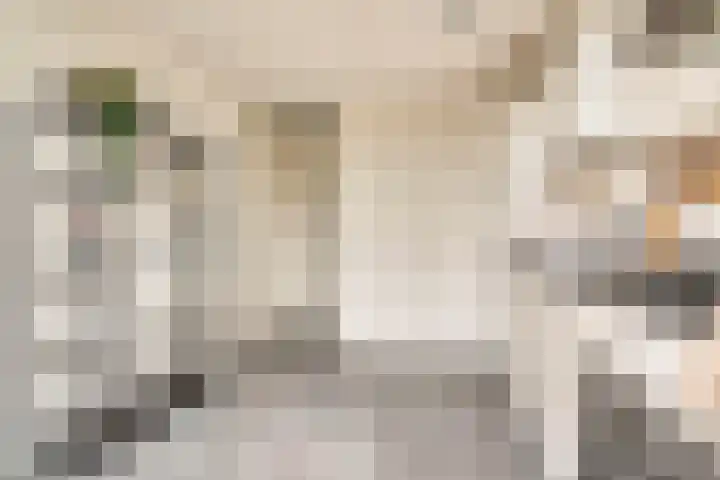 Von Zesenstraat 366 Amsterdam thumbnail 18