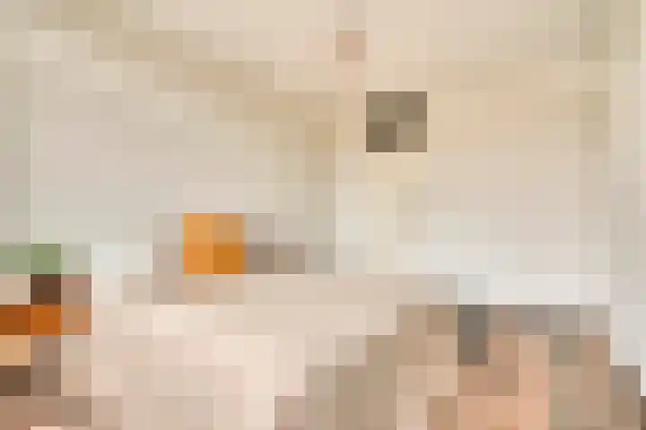 Von Zesenstraat 366 Amsterdam thumbnail 20
