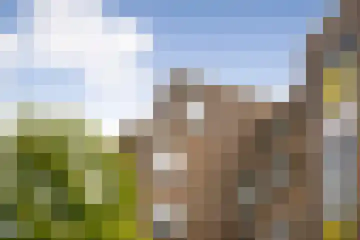 Von Zesenstraat 366 Amsterdam thumbnail 31