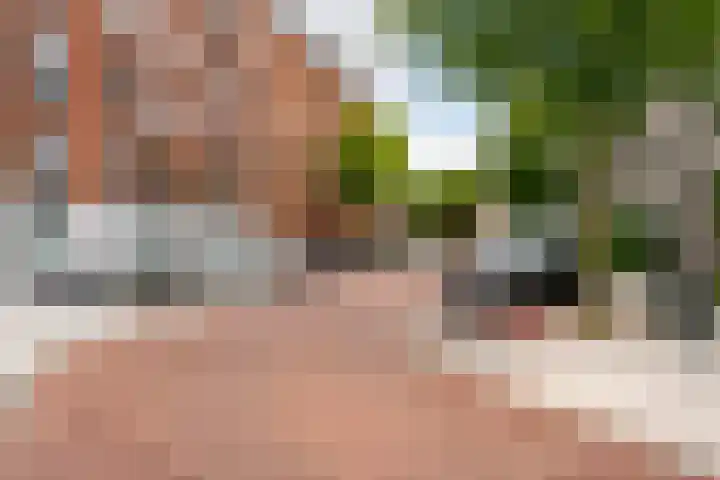Von Zesenstraat 366 Amsterdam thumbnail 33