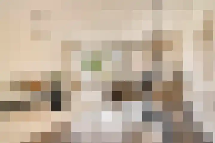 Von Zesenstraat 366 Amsterdam thumbnail 40