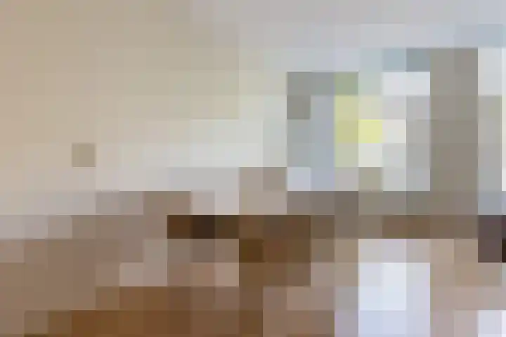 Von Zesenstraat 94 Amsterdam thumbnail 10