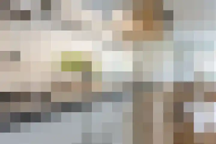 Von Zesenstraat 94 Amsterdam thumbnail 12