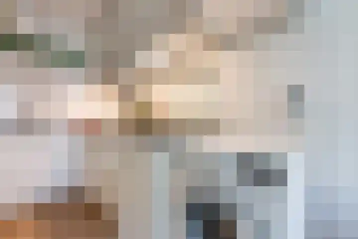 Von Zesenstraat 94 Amsterdam thumbnail 13
