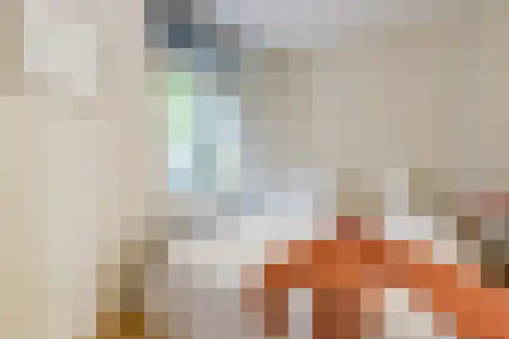 Von Zesenstraat 94 Amsterdam thumbnail 17