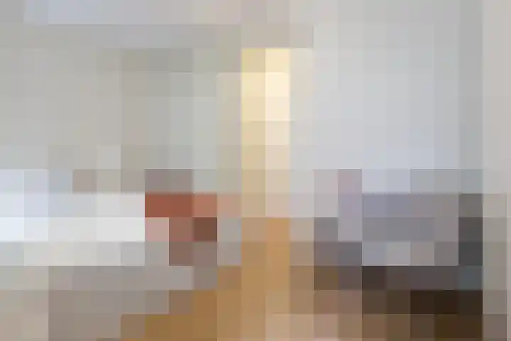 Von Zesenstraat 94 Amsterdam thumbnail 18