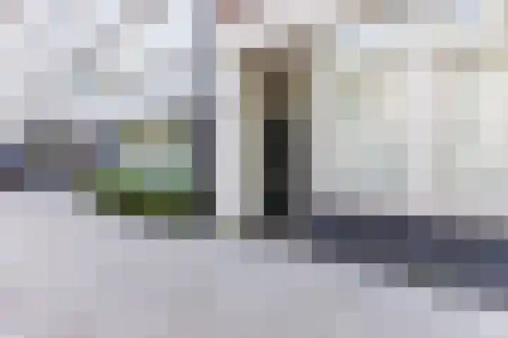 Von Zesenstraat 94 Amsterdam thumbnail 5