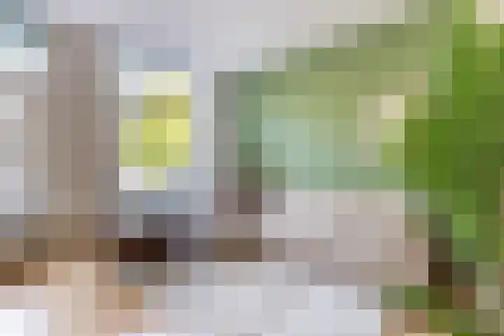 Von Zesenstraat 94 Amsterdam thumbnail 6
