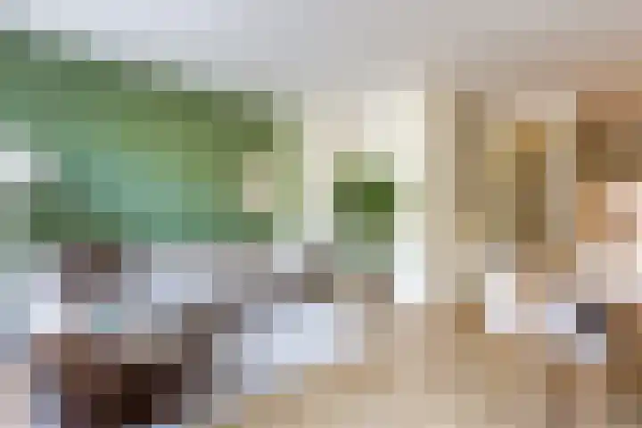 Von Zesenstraat 94 Amsterdam thumbnail 7