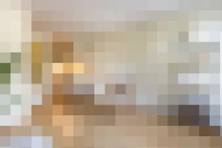 Von Zesenstraat 94 Amsterdam thumbnail 8