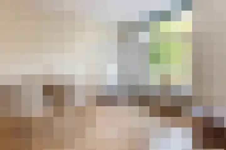 Von Zesenstraat 94 Amsterdam thumbnail 9