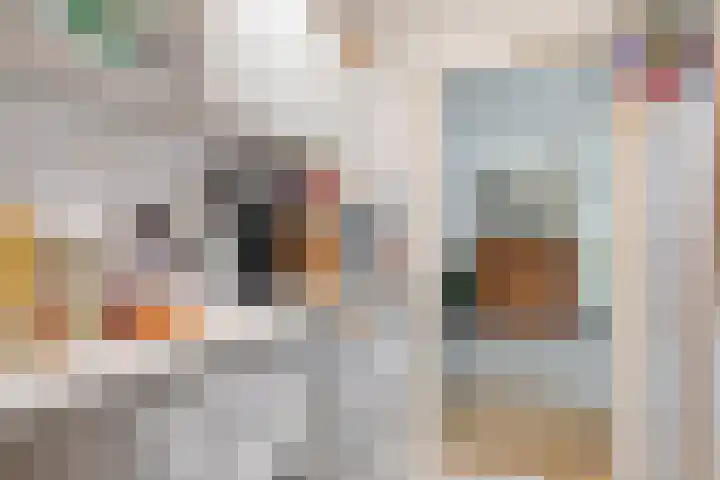 Vondelinghof 10 Oosterhout thumbnail 11
