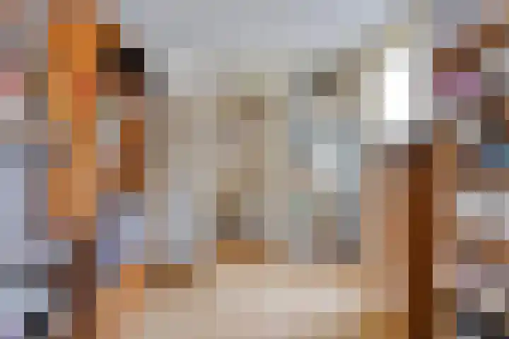 Vondelinghof 10 Oosterhout thumbnail 18