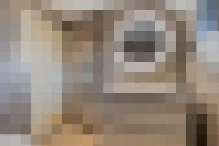 Vondelinghof 10 Oosterhout thumbnail 19