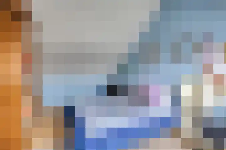 Vondelinghof 10 Oosterhout thumbnail 22