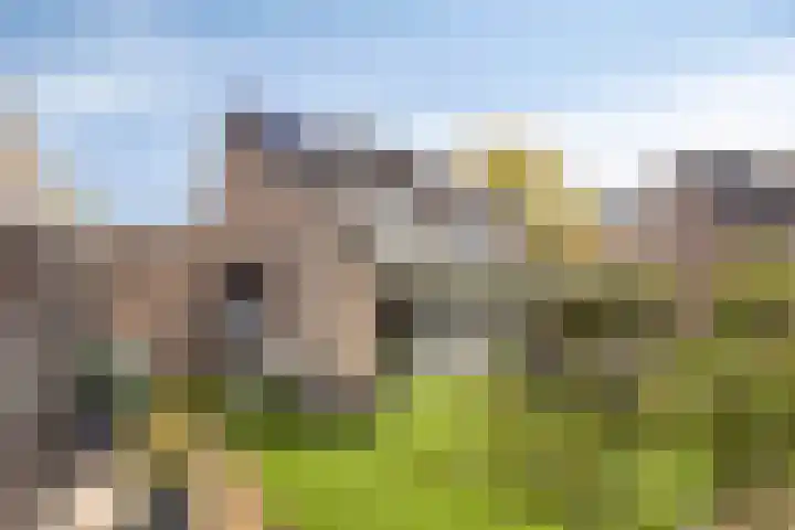 Vondelinghof 10 Oosterhout thumbnail 27