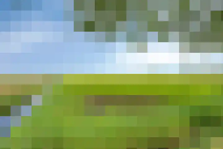 Vondelinghof 10 Oosterhout thumbnail 31