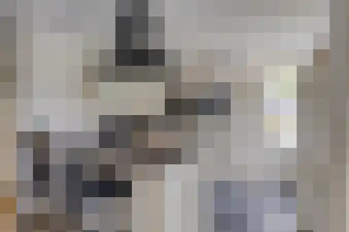 Vondelinghof 10 Oosterhout thumbnail 9