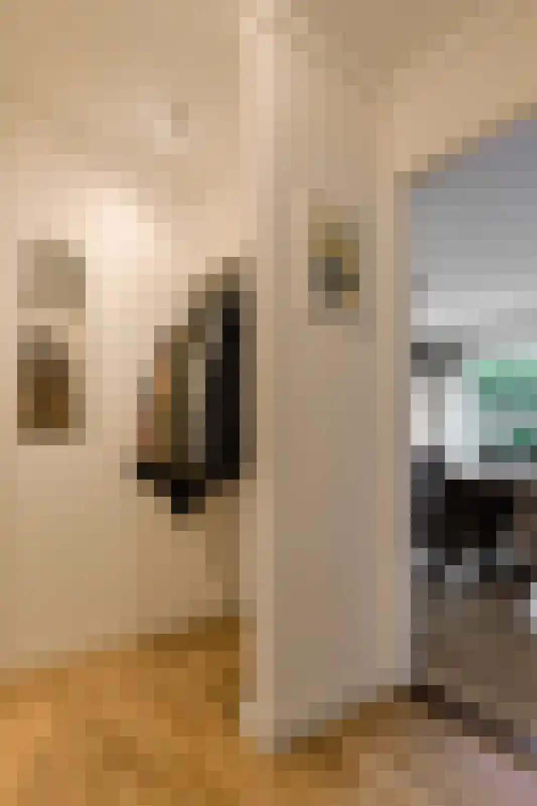 Vondelinghof 3 Oosterhout thumbnail 30