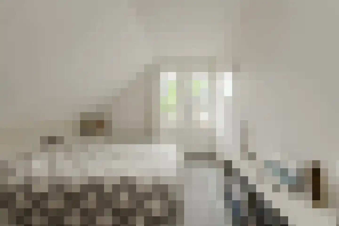 Vondelinghof 3 Oosterhout thumbnail 38