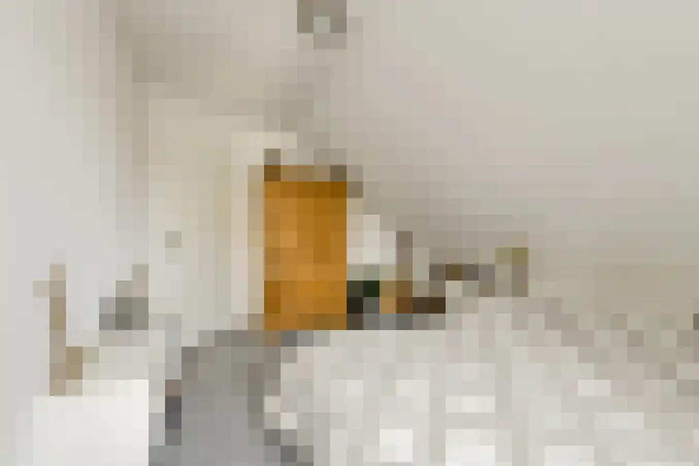 Vondelinghof 3 Oosterhout thumbnail 39