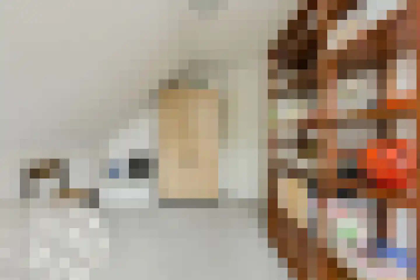 Vondelinghof 3 Oosterhout thumbnail 42