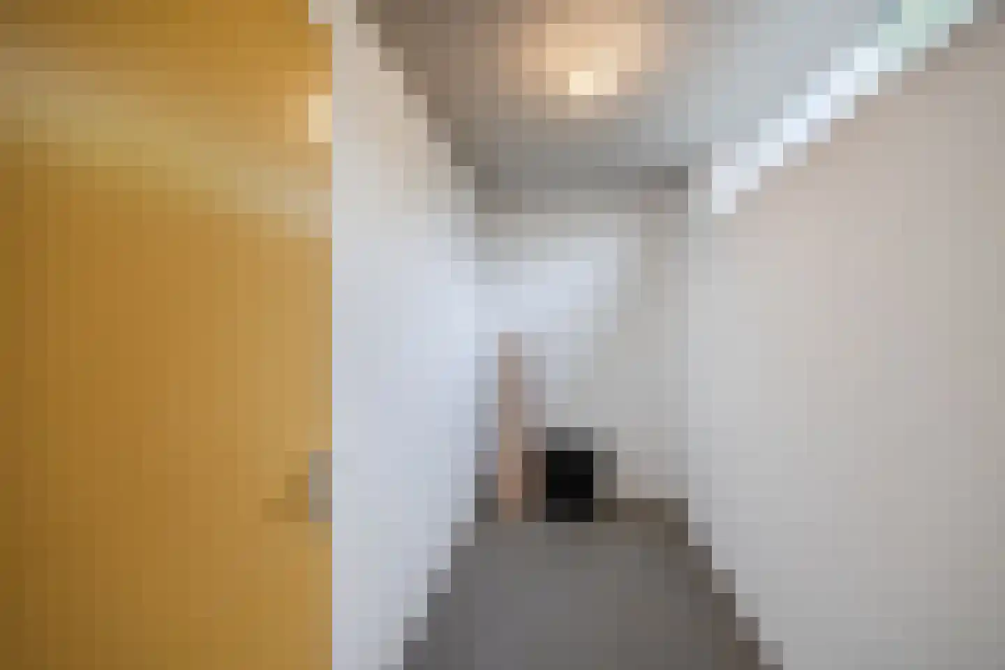 Vondelinghof 33 Oosterhout thumbnail 26