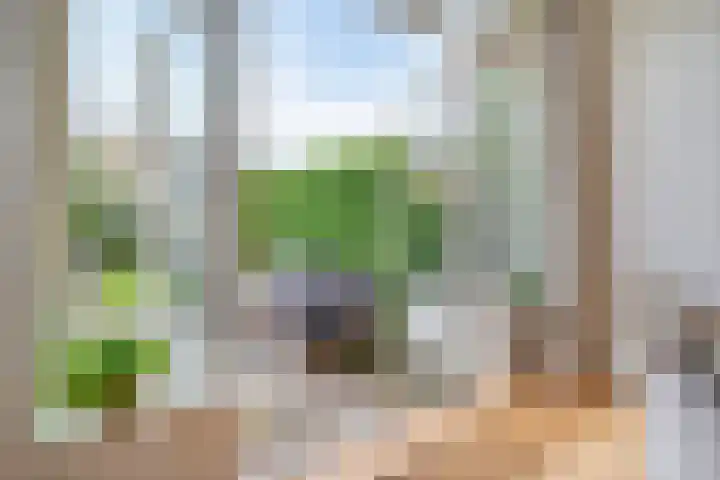 Vondelkade 19 Zwolle thumbnail 11