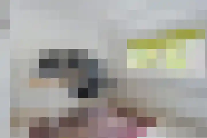 Vondelkade 19 Zwolle thumbnail 18