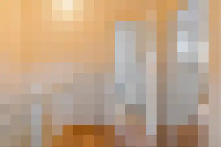 Vondelkade 19 Zwolle thumbnail 21