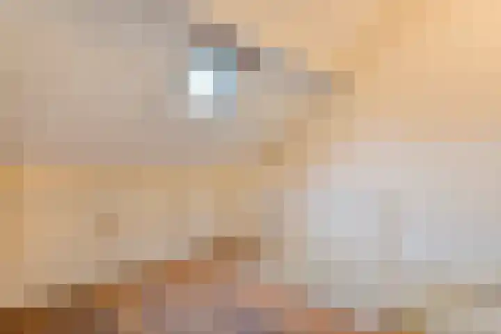 Vondelkade 19 Zwolle thumbnail 22