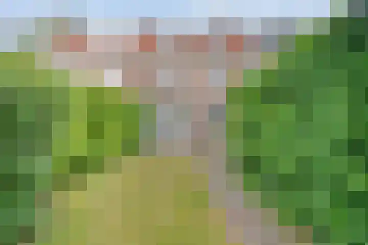 Vondelkade 19 Zwolle thumbnail 25