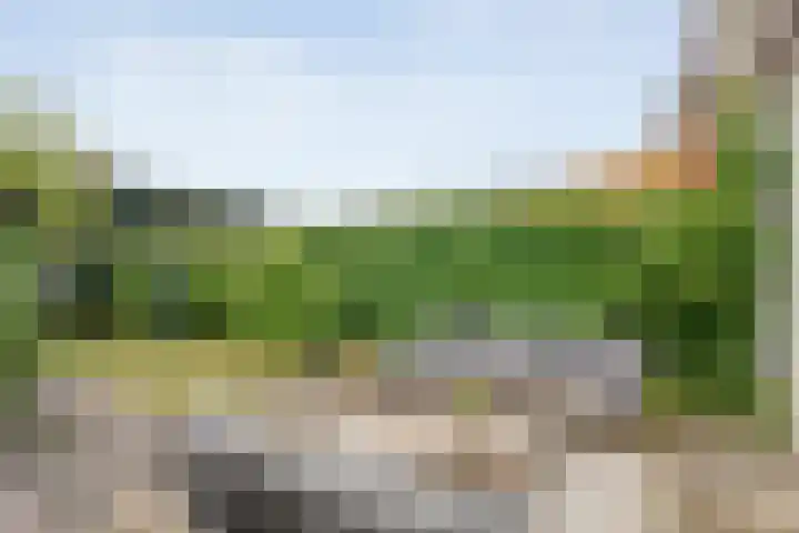 Vondelkade 19 Zwolle thumbnail 27