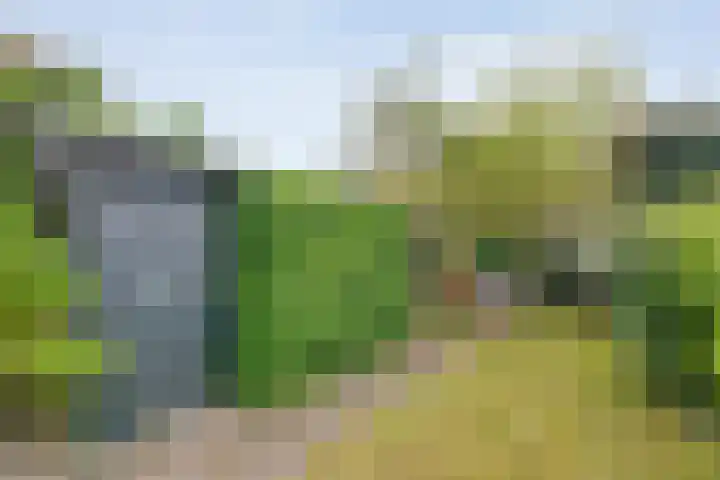 Vondelkade 19 Zwolle thumbnail 28