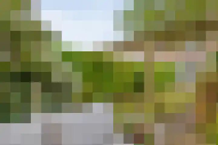 Vondelkade 19 Zwolle thumbnail 29