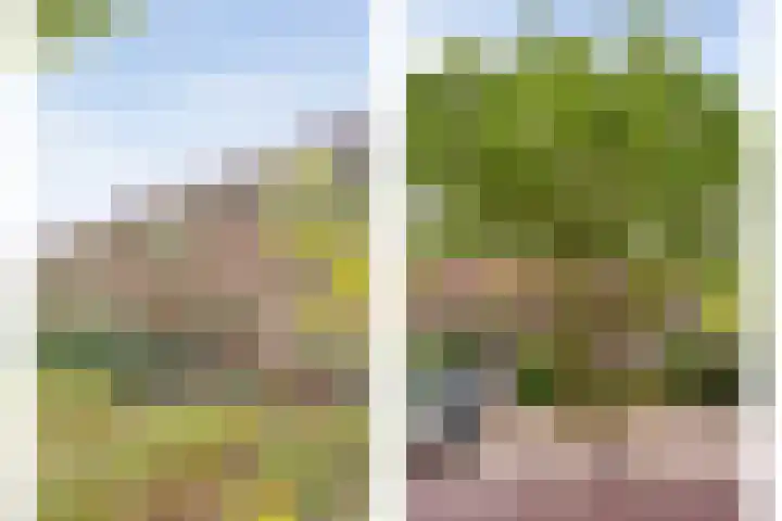 Vondelkade 19 Zwolle thumbnail 30
