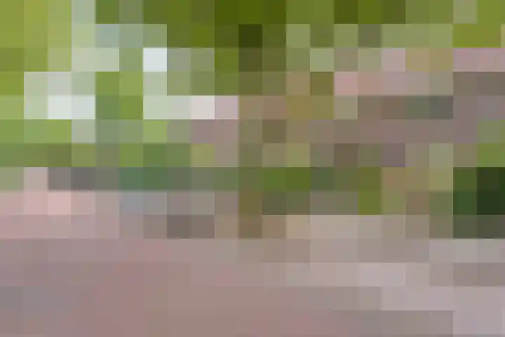 Vondelkade 19 Zwolle thumbnail 31