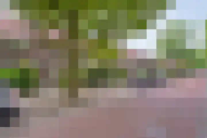 Vondelkade 19 Zwolle thumbnail 32