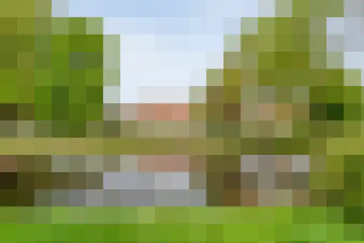 Vondelkade 19 Zwolle thumbnail 33