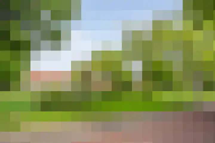 Vondelkade 19 Zwolle thumbnail 34