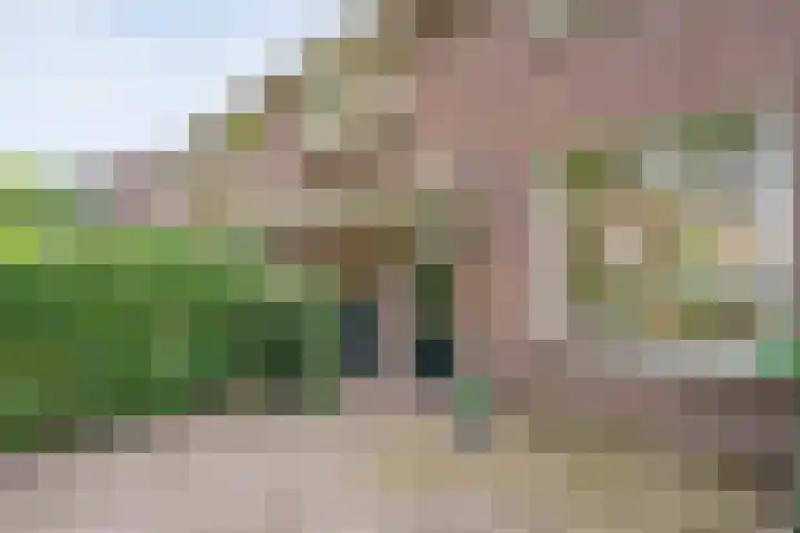 Vondelkade 19 Zwolle thumbnail 4