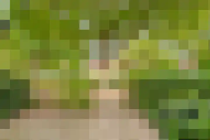 Vondelkade 19 Zwolle thumbnail 5