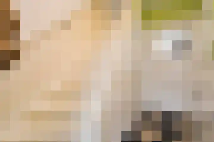 Vondelkade 19 Zwolle thumbnail 6