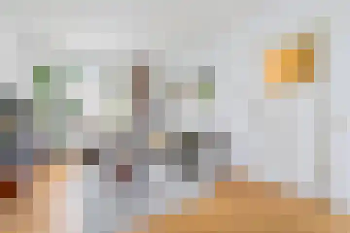 Vondelkade 19 Zwolle thumbnail 7